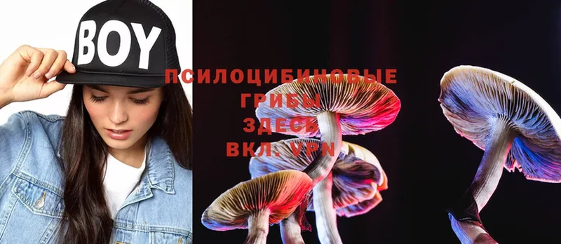 даркнет сайт  Рыльск  Псилоцибиновые грибы MAGIC MUSHROOMS 