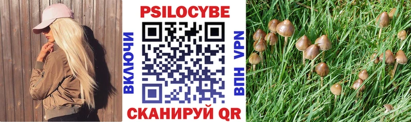 Псилоцибиновые грибы Cubensis  купить   Рыльск 